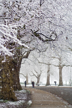 fabulousplaces:  Snowy Finsbury Park (London,