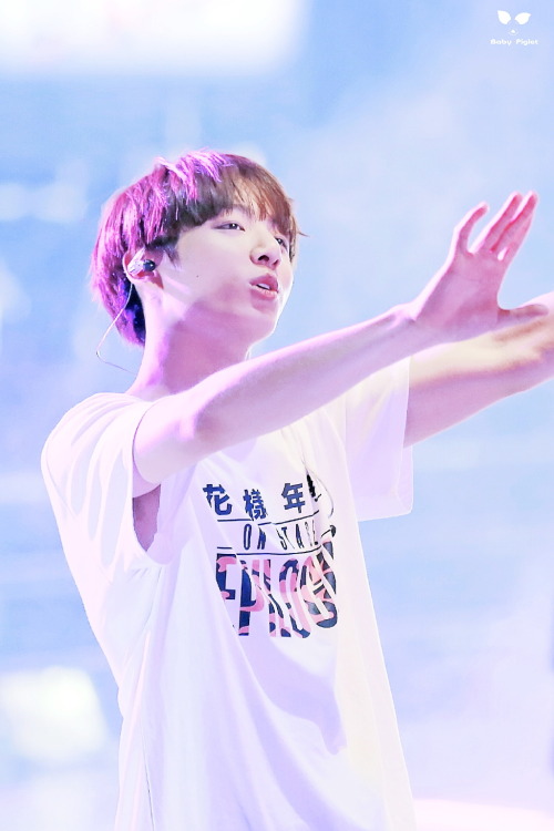  Baby Piglet | Do Not Edit.