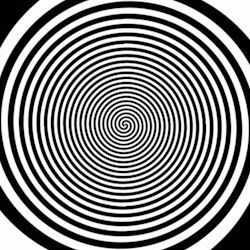 followsmokey:  What a stunning spiral. It would be wrong to use it on you, wouldn’t it? So wrong. 