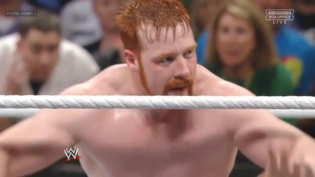 dixiewildflower:  Sheamus’ sex hair from last night.