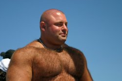 barebearx:  fiendish8:  bull at the beach  ~PLEASE FOLLOW ME ** 😊😊😊🐼 ♂♂OVER 43,000   FOLLOWERS   (Thank You)   ~~~~~~http://barebearx.tumblr.com/ **for HAIRY men &amp; SEXY men**http://manpiss.tumblr.com/ **for MANPISS FUN **                 