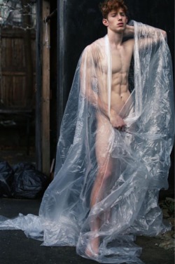 Fieldofpansies: Kevin Thompson
