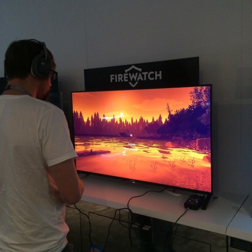 Campo Santo &amp; Firewatch at the Playstation Experience 2015!We spent an incredible weekend wi