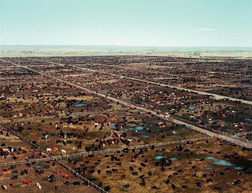 geo-port:  Andreas Gursky  