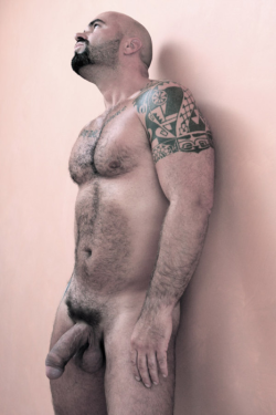 hairygaymen:  Hookup with a hot guy tonight: http://bit.ly/1NqUphM