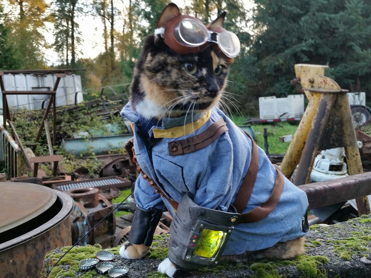 The results are in!
Vault Cat was voted #1 in our Best of Cat Cosplay Tournament!
You Fallout Fans certainly represented well! As such we’ll be doing something special with Vault Cat in the coming Months for winning!