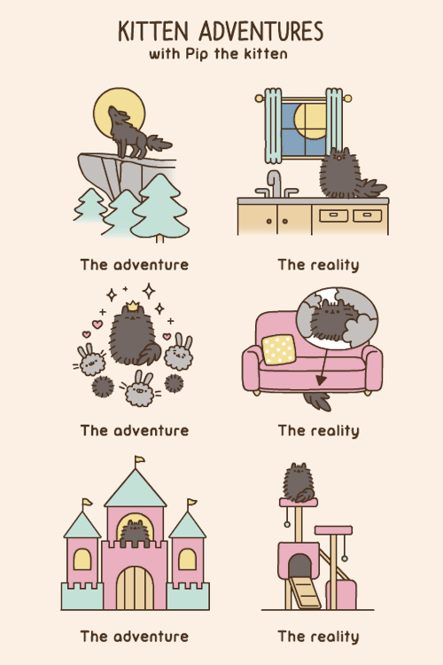 pusheen cat pip