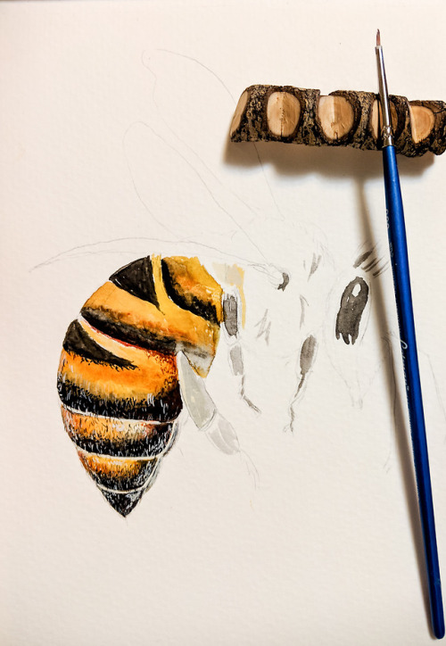 3 years ago I painted my first bee and just few days ago I painted this one. <3