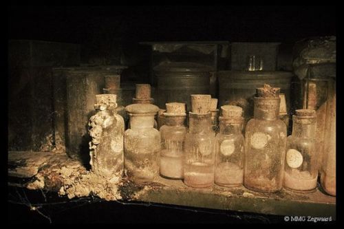 abandonthehalls:  Grotesque Animal Specimens Discovered in an Abandoned Veterinary School Arguably the weirdest location featured in our Creepy Abandoned Schools and Universities round-up, L’école de Médecine Vétérinaire in Brussels is a macabre