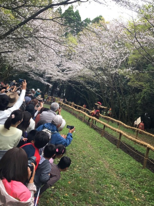 Ogasawara ryu bow men &amp; Sakura . Ogasawara ryu is a very old martial arts school in Japan fo