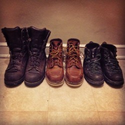 troutcycle:  The usual suspects.  #danner