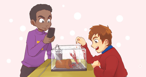 tyde and crayfish