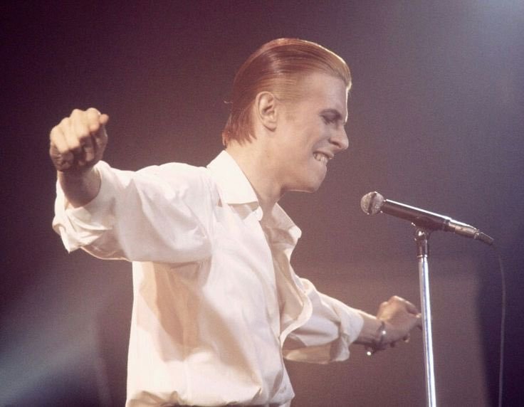 Bowie Obsessed