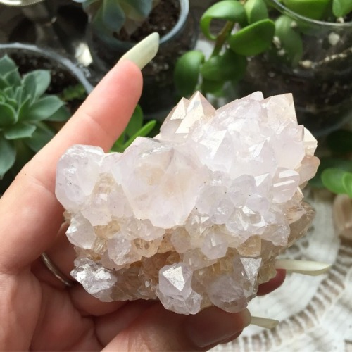 floralwaterwitch:My lovely spirit quartz cluster ✨
