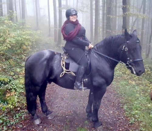 Black des GrappesPercheron, GeldingBorn 2011