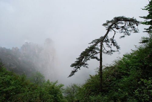 wanderlustfuldays: Huangshan, China