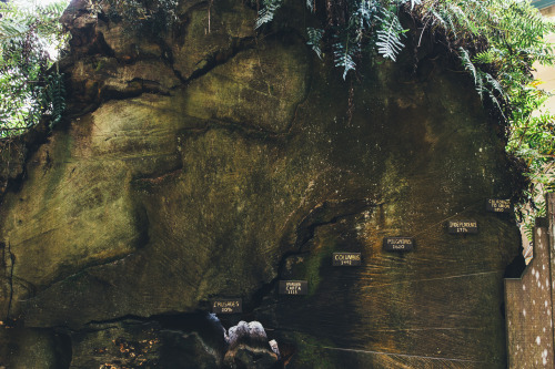 brianfulda:  On Thursday and Friday, I road tripped up to Redwood National Park and the surrounding areas with my good buddy Adam. Being in the presence of some of the tallest and oldest trees in the world is incredibly humbling! Some of the trees we