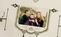 shieldmaidenofrohann:  Books:Harry Potter and Philosopher’s Stone [1/7]Chapter 