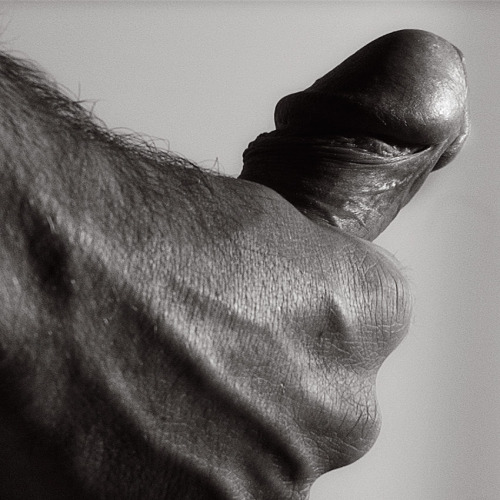 Show Us Your Dick! (And Everything Else Too)