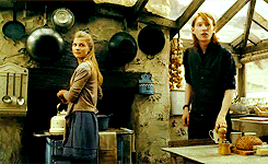  harry potter meme: seven relationships [3/7] » bill &amp; fleur ↳ “Fleur