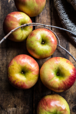 sweetoothgirl:Healthy Caramel Apples Six Ways