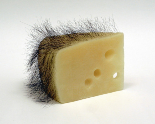 Robert Gober, “Short Haired Cheese,” 1992–1993,Beeswax, human hair,4 × 