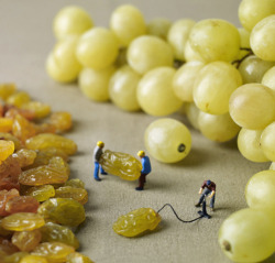 tastefullyoffensive:  How grapes are made. [slinkachu] 