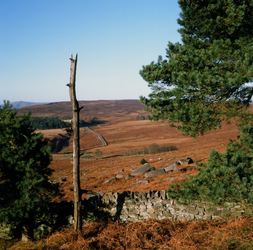 alifeingrain: Peak District - January 2022Rolleicord Vb on Fuji Provia 100(with thanks to @noncentsa