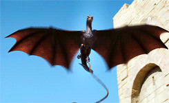 jonssnow:  Dracarys 