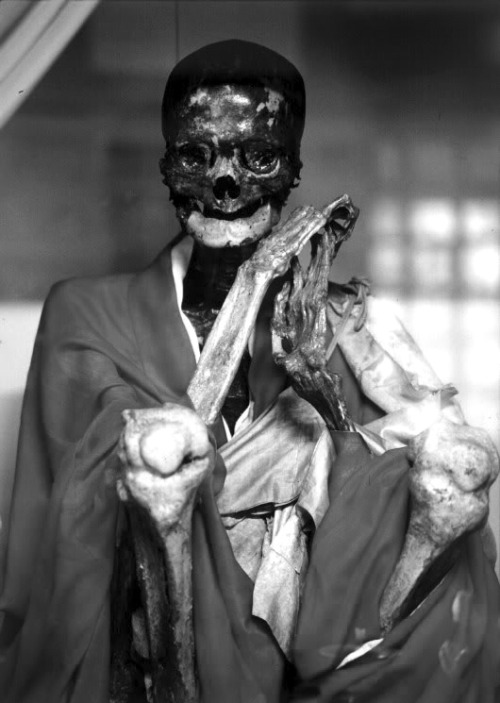 death-and-necromancy:  Sokushinbutsu (即身仏) were Buddhist monks or priests who caused their own deaths in a way that resulted in their mummification. This practice reportedly took place almost exclusively in northern Japan around Yamagata Prefecture.