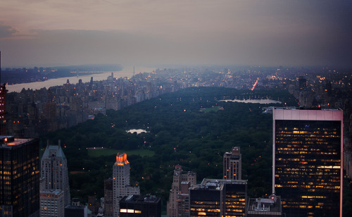 touchdisky:Central Park, the Other side // Paloma Moira