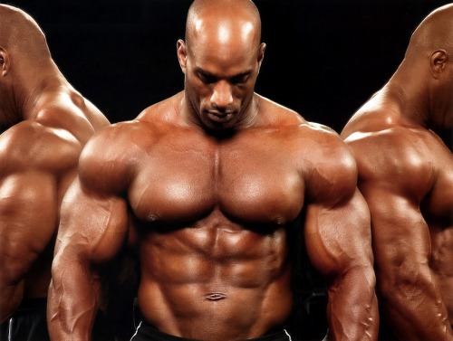 Team Muscle