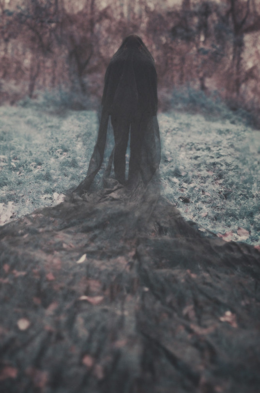 maliciafrost:By Manuel Estheim (x)