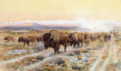 artist-charles-russell: The Bison Trail, 1908, Charles M. Russell