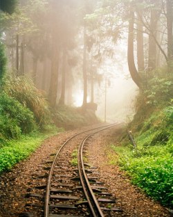 travelaround2017:Photo by @justinbriceguariglia // Dormant train tracks at the Alishan Forest Railway in Taiwan. A mountain famous for its Oolong teas.  #taiwan #tea #natgeotravel #railway #fromwhereistand by natgeotravel