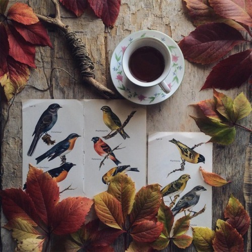 myend-ismybeginning:Source.