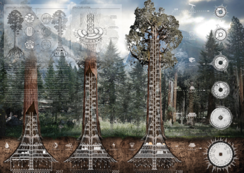 Architects want to put skyscrapers inside hollowed-out Giant Sequoia trees in California