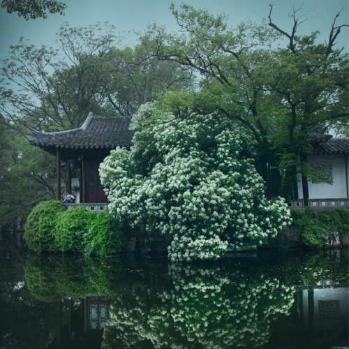 fuckyeahchinesegarden:Chinese garden by 张大水.