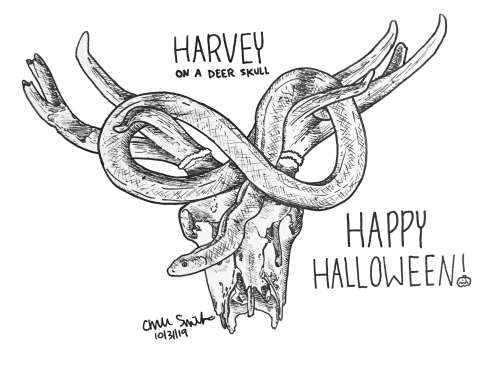 HAPPY HALLOWEEN!!!I can&rsquo;t believe I did all days of Inktober (and on my first year of doing it