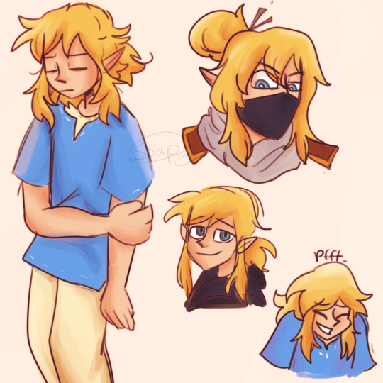 no thoughts only link botw is there