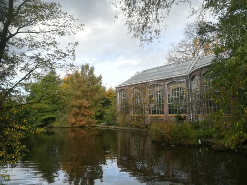 Hortus Botanicus Amsterdam, autumn of 2019