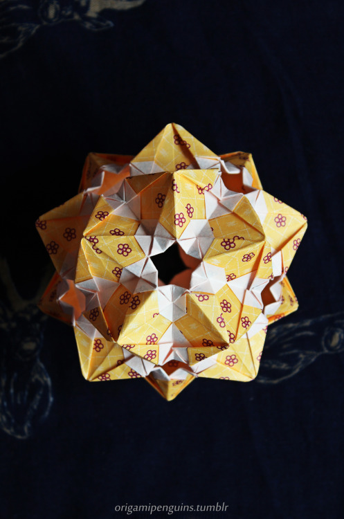 Sandra Tony || 30 units || video tutorial || folded by origami penguins