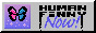A static 88x31 button with a grey background and a blue and pink butterfly in a square on the left and text on the right that reads 'Human Finny Now'