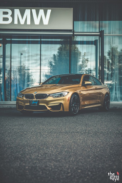 supercars-photography:  BMW ///M4