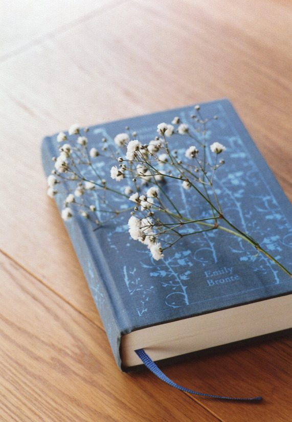 wolftramp:  Vintage Blog ☼ 