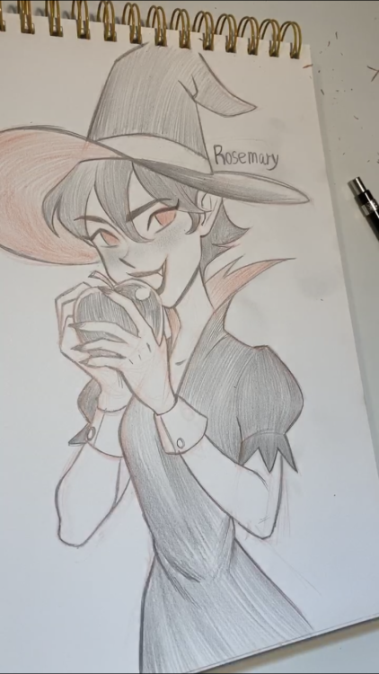 Rosemary Drawing