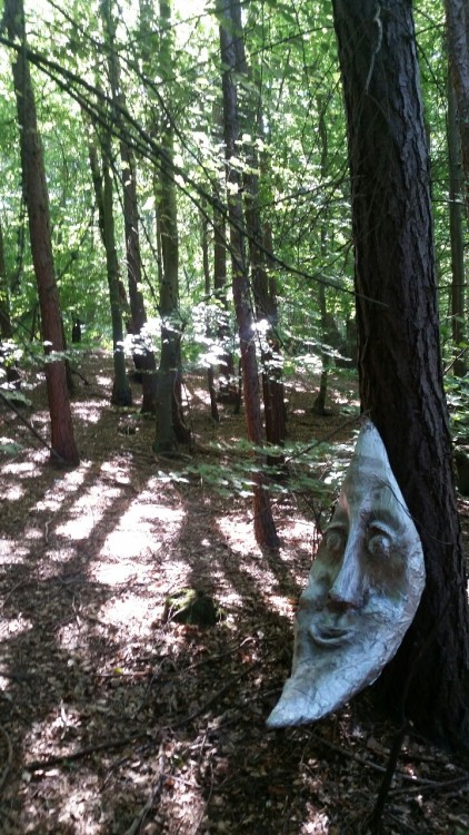 purebushcraft:When you go down to the woods today, You’ll sure have a big surprise, When you e