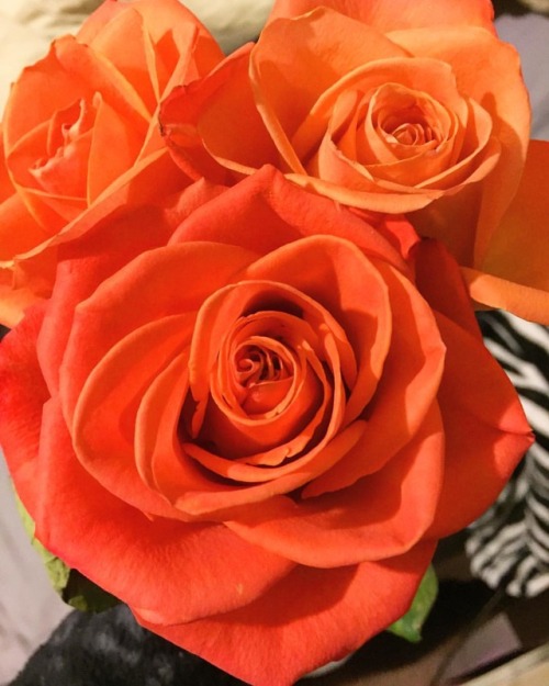 Got these roses from Valentine’s day. The roses are still blooming! its soo pretty! Now time t