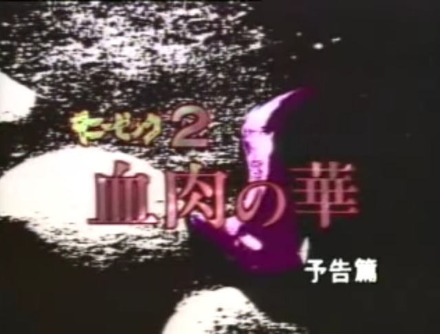 ギニーピッグ Tumblr Posts Tumbral Com ギニーピッグ Tumblr Posts Tumbral Com