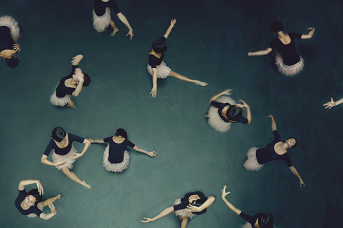 showslow:  Photography by Laura Zalenga.